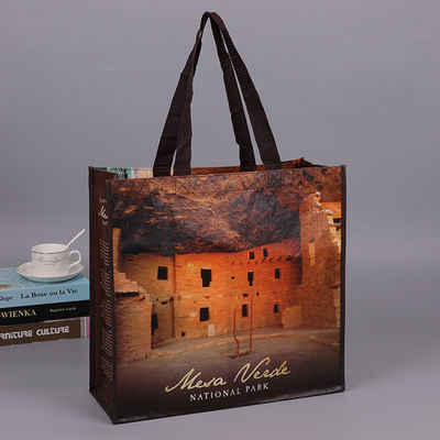 Lightweight Pantone Color PP Non Woven Bag For Packing